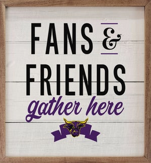 Fans And Friends Minnesota State University Mankato